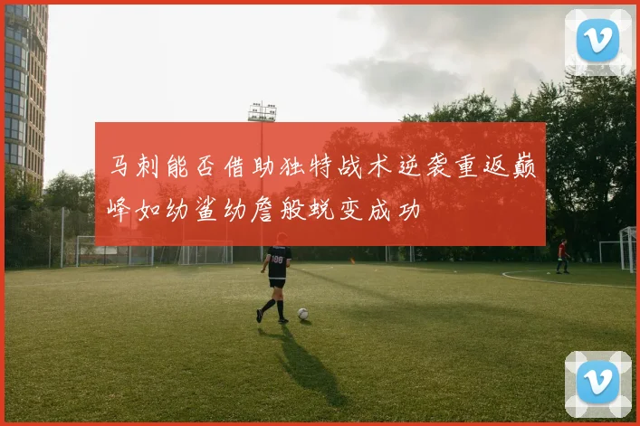 马刺能否借助独特战术逆袭重返巅峰如幼鲨幼詹般蜕变成功