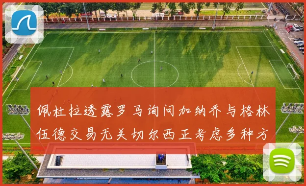 佩杜拉透露罗马询问加纳乔与格林伍德交易无关切尔西正考虑多种方案