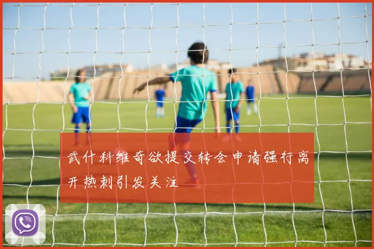 武什科维奇欲提交转会申请强行离开热刺引发关注
